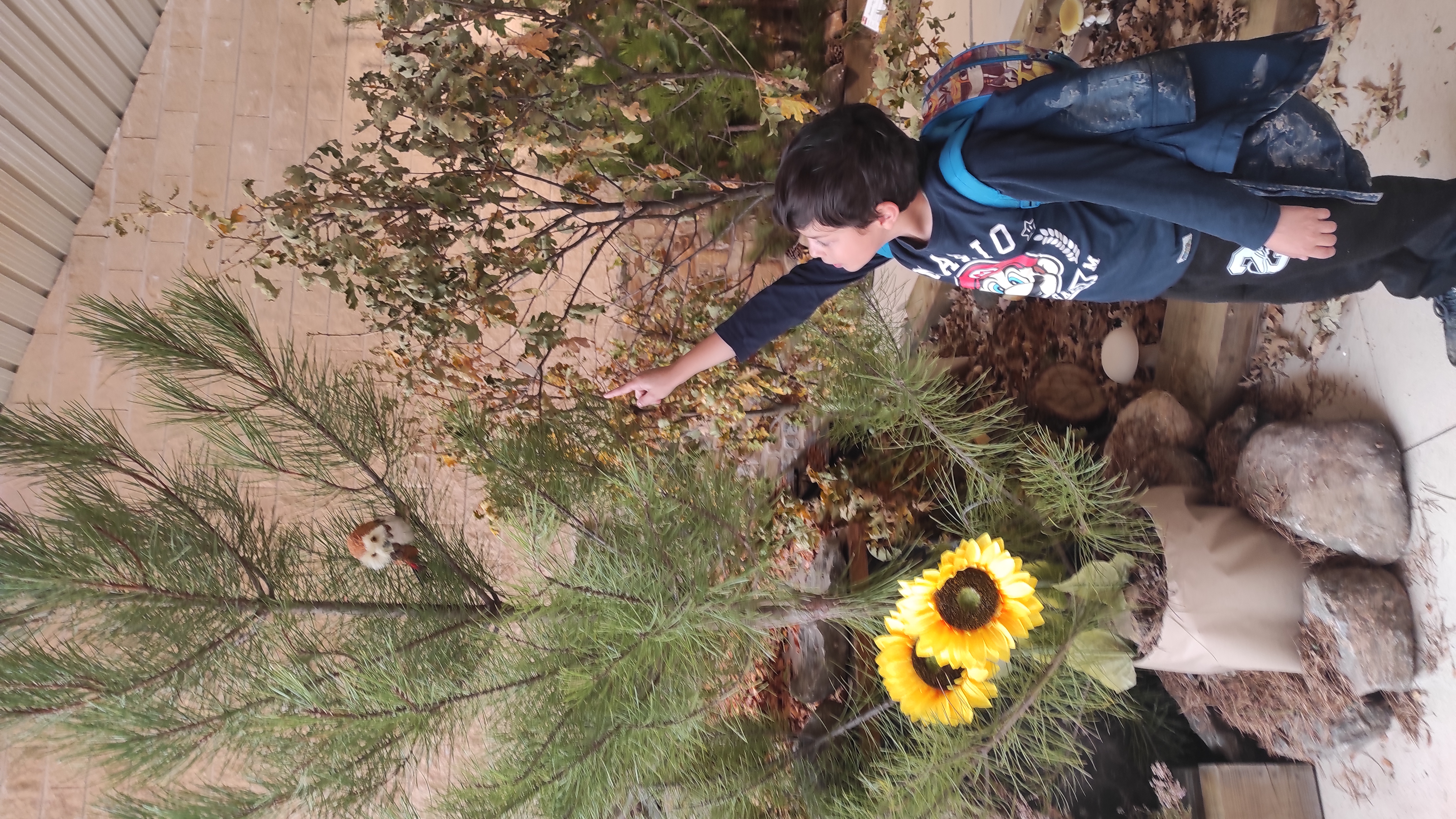 Copia de IMG_20251030_123640.jpg